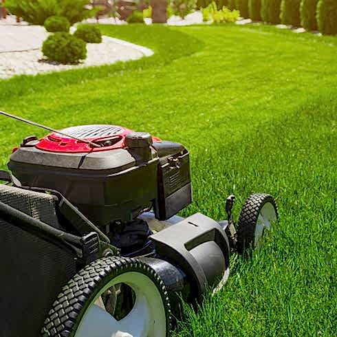 Peyzaj, Bahçe, Arazi Bakım Hizmeti